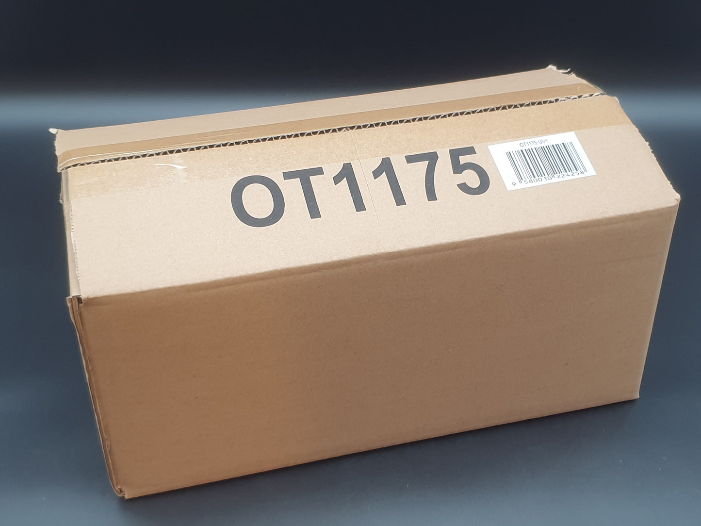 Renault 5 Turbo 3E E-Tech 2023 Ottomobile 1:18 OT1175